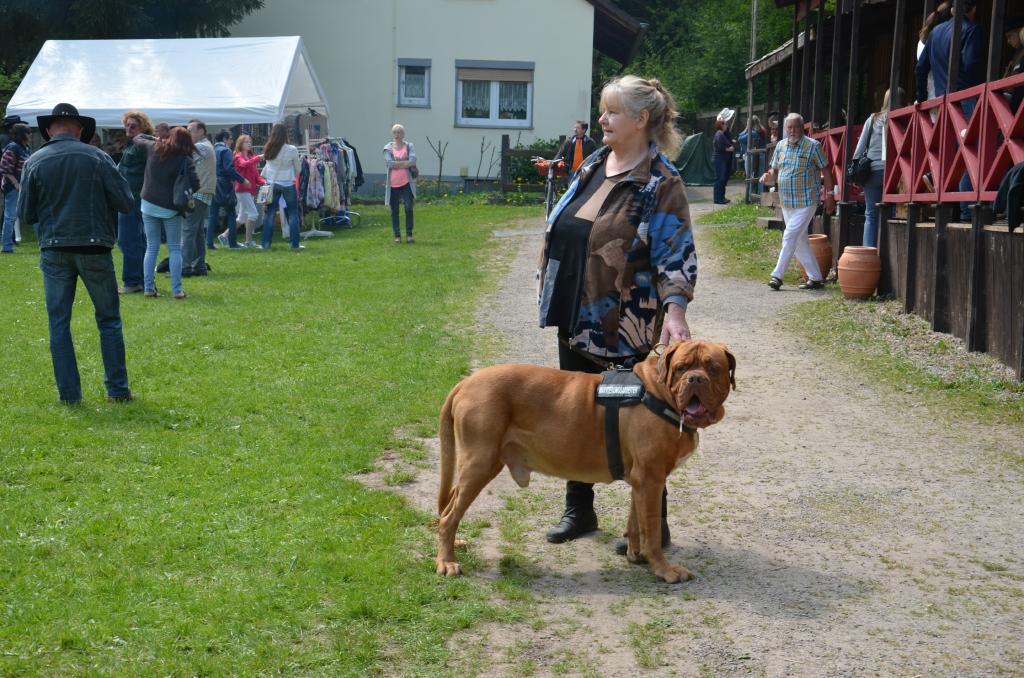 Bild